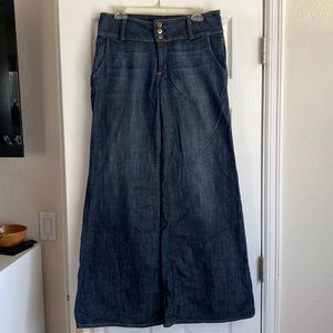 Hudson Wide Leg Jeans
